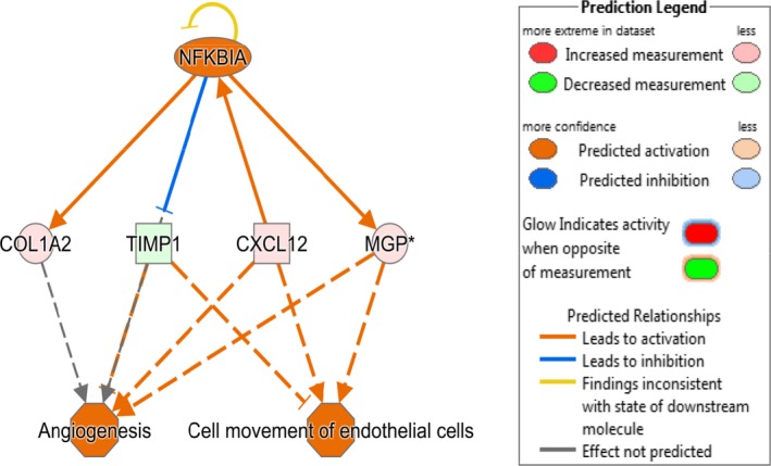 Figure 14