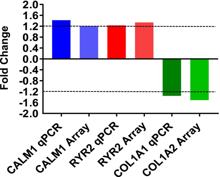 Figure 5