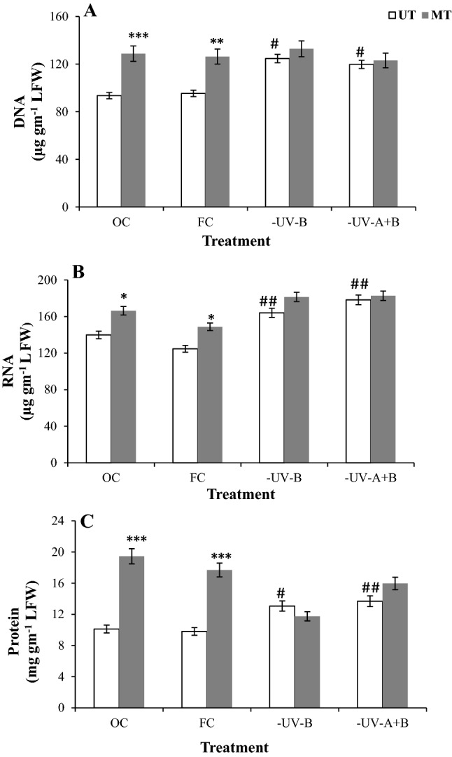 Fig. 8