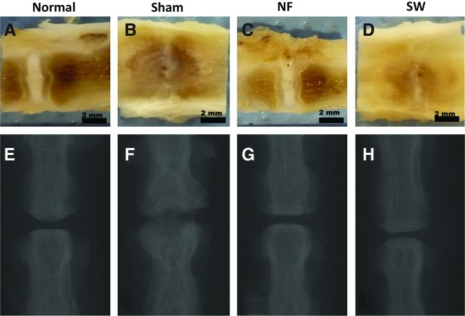 FIG. 7.