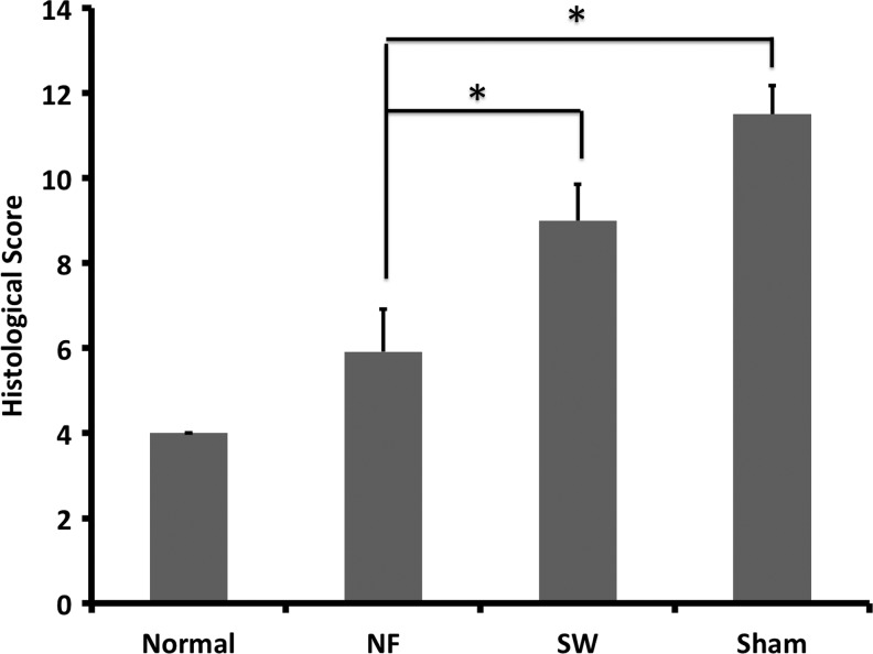 FIG. 10.