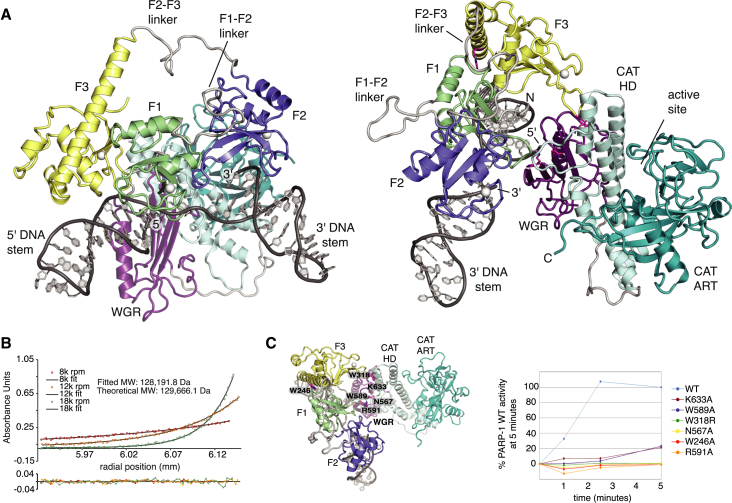 Figure 3