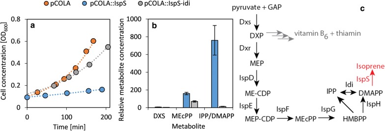 Fig. 1