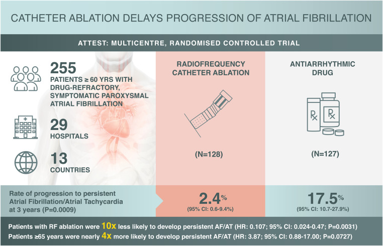 Graphical Abstract