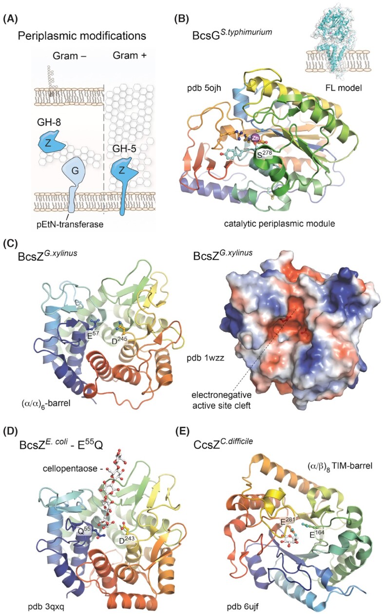 Figure 6.