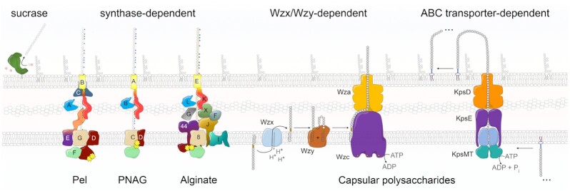 Figure 9.