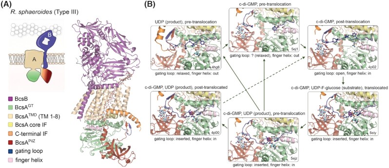 Figure 2.