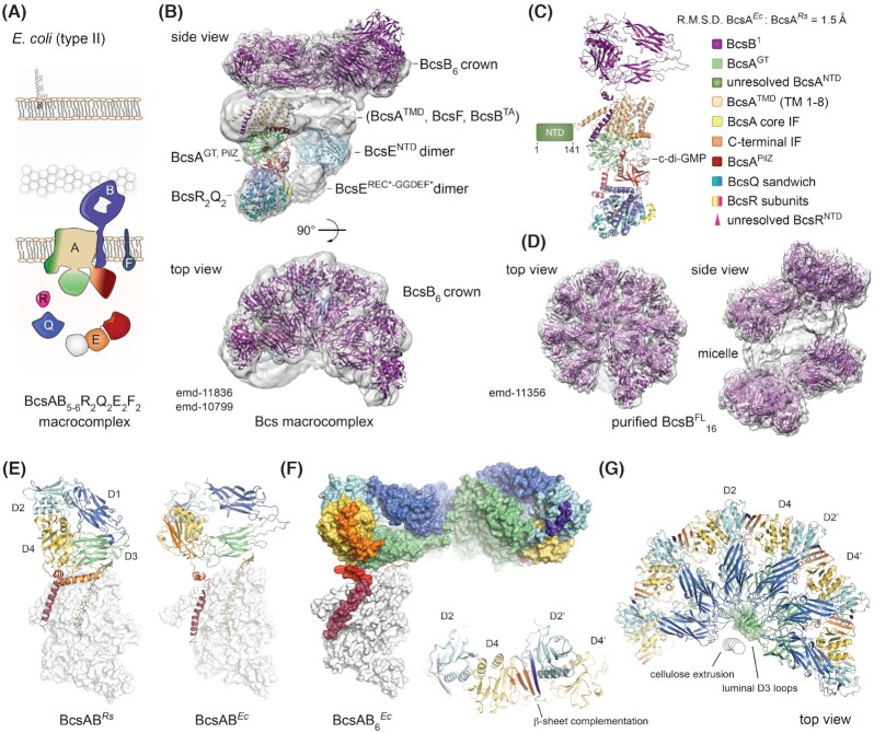 Figure 3.