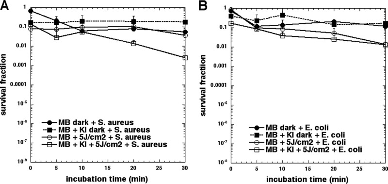 FIG 6