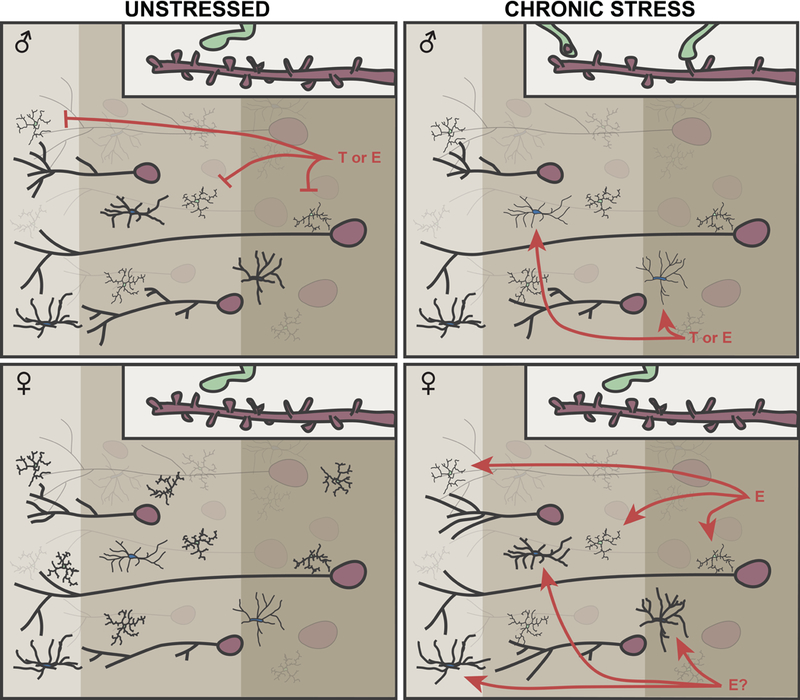 Fig 10