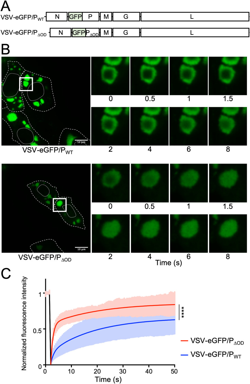 FIG 4