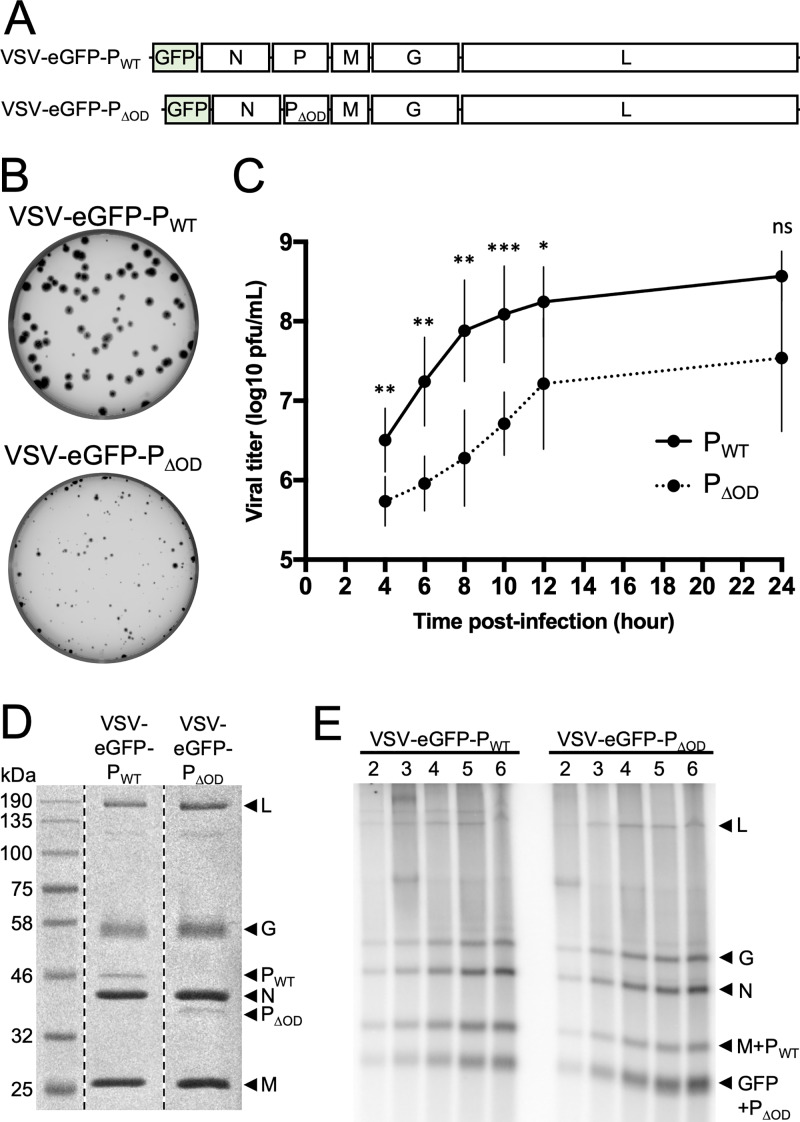 FIG 3