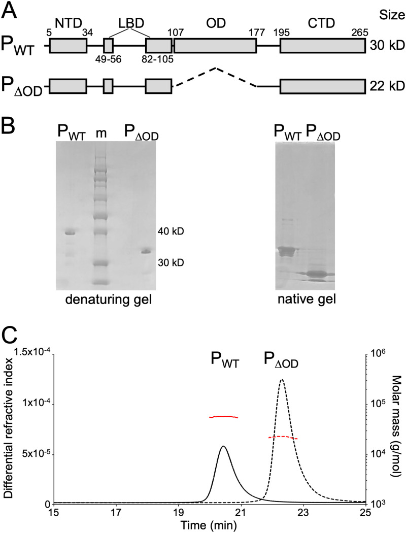 FIG 1