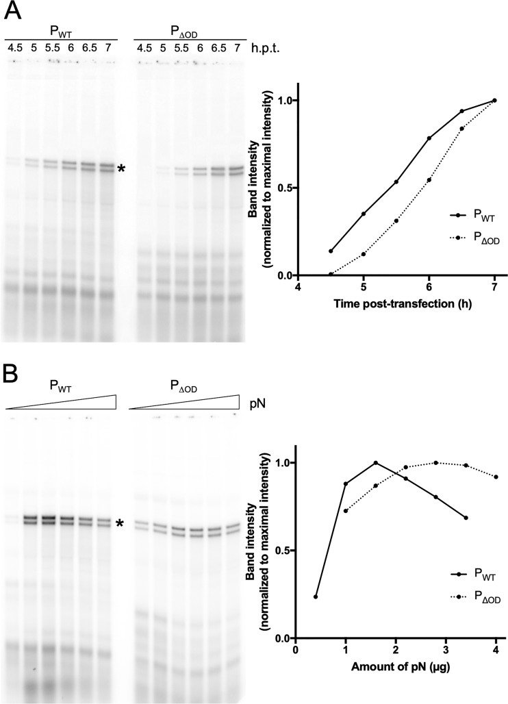 FIG 5