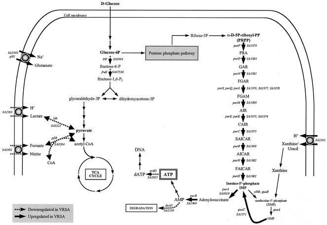 FIG. 3.