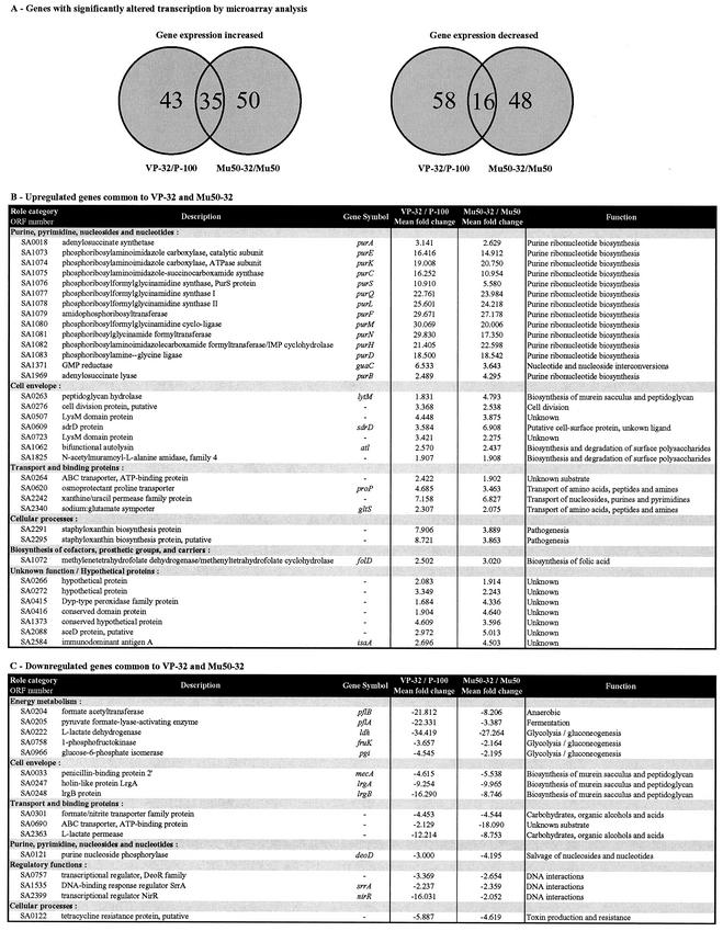 FIG.2.