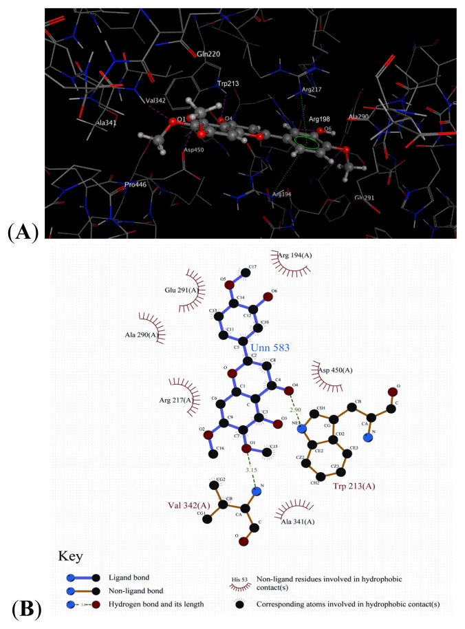 Figure 10