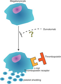 graphic file with name TCA-12-2811-g004.jpg