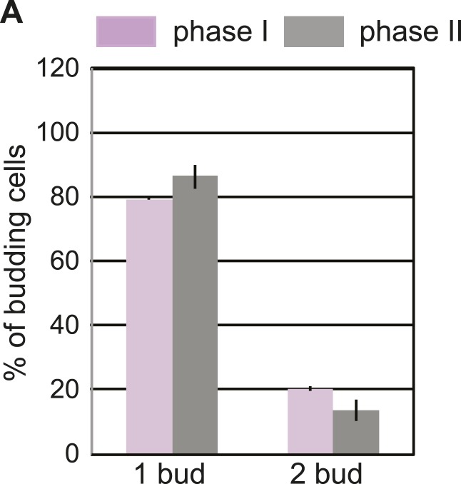 Figure 5—figure supplement 1.