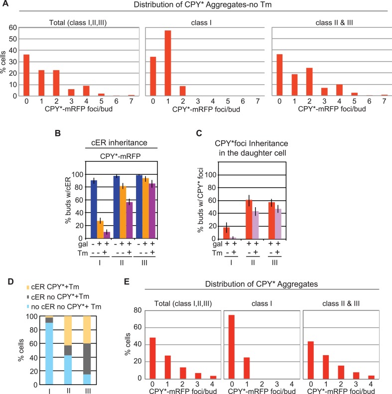 Figure 2—figure supplement 1.