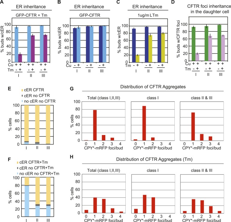 Figure 2—figure supplement 2.