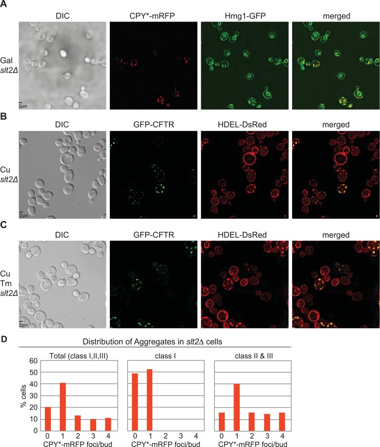 Figure 3—figure supplement 1.