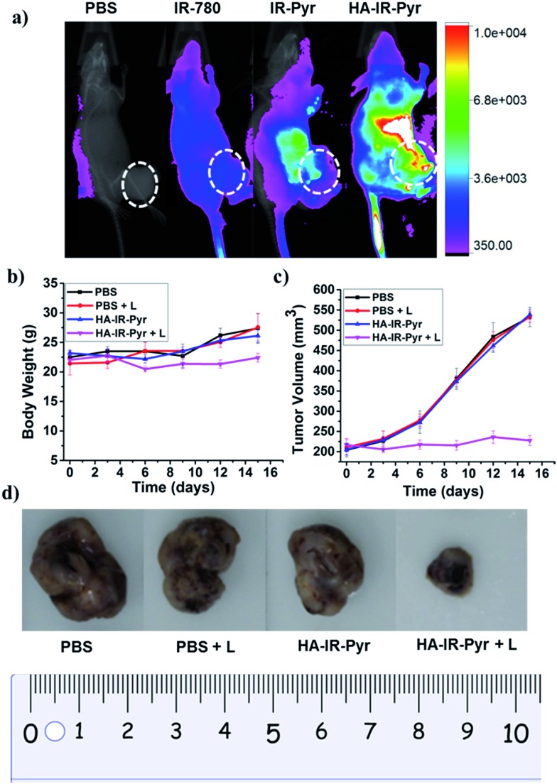 Fig. 6