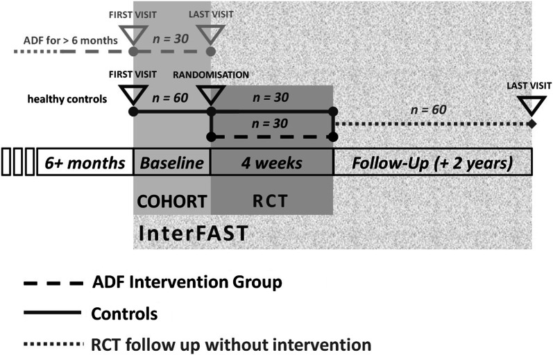 Fig. 1