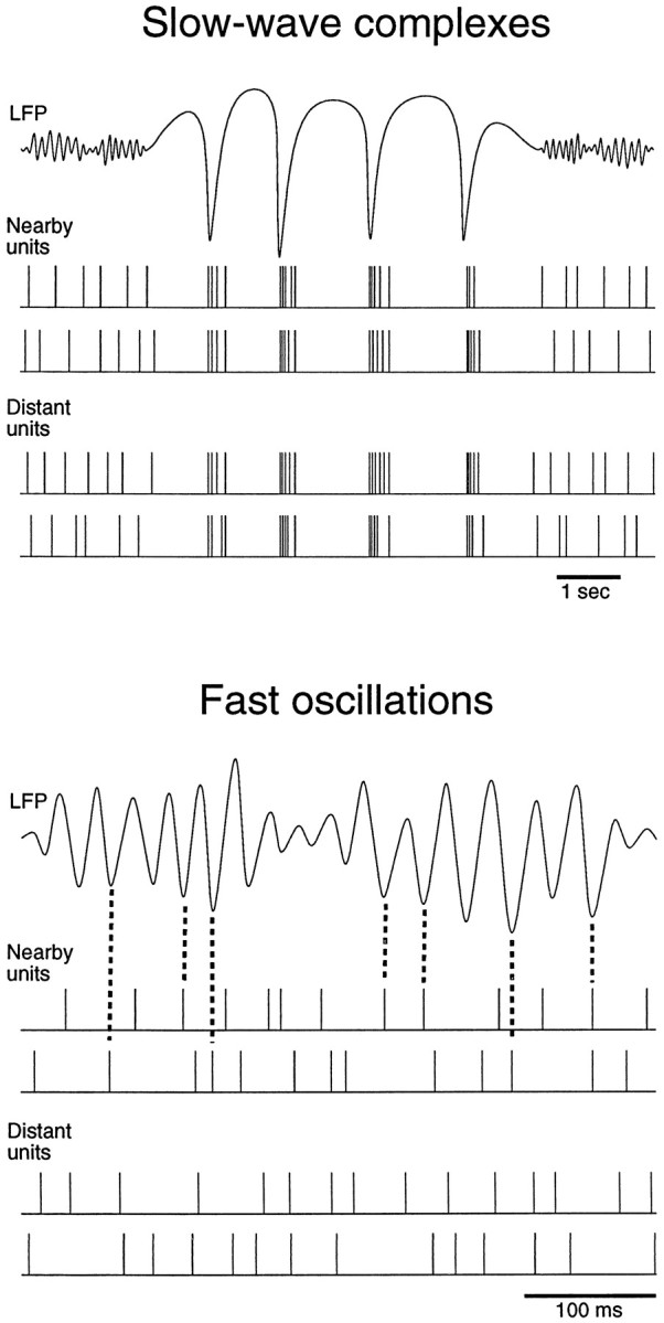 Fig. 12.