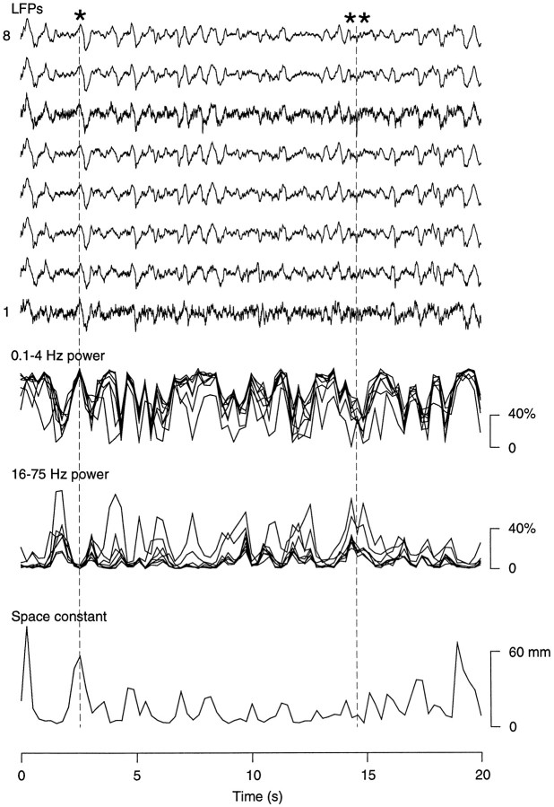 Fig. 10.