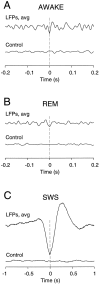 Fig. 9.