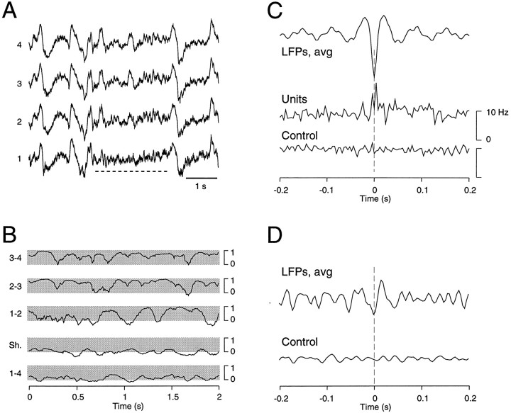 Fig. 11.