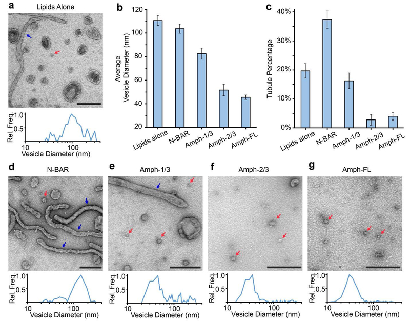 Figure 4: