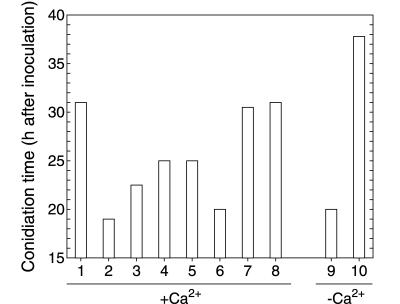 FIG. 5.