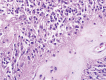 Figure 1D