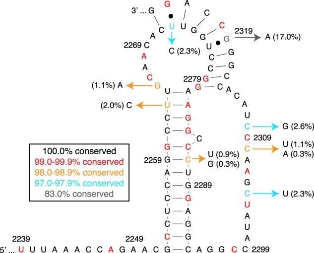 FIGURE 4.