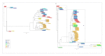 Figure 7 -