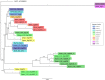 Figure 6 -