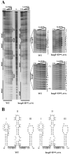 FIG. 5.
