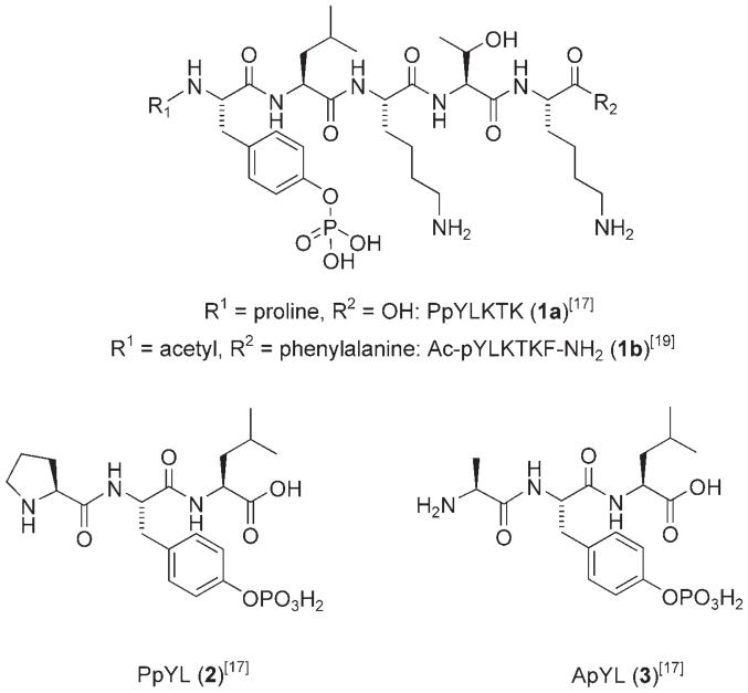 graphic file with name nihms-81890-f0001.jpg