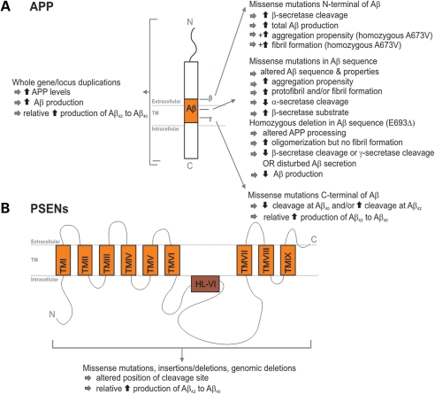 Figure 1.