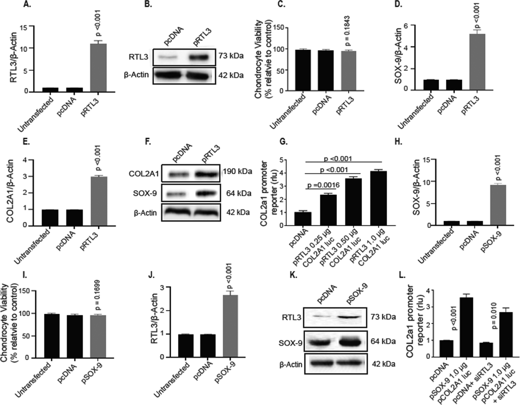 Figure 4: