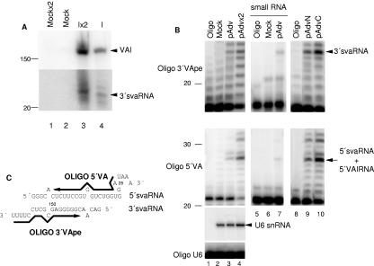 FIG. 4.