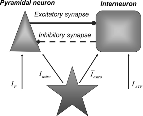 Fig. 1