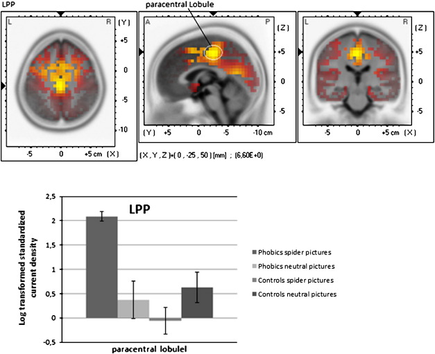 Fig. 3