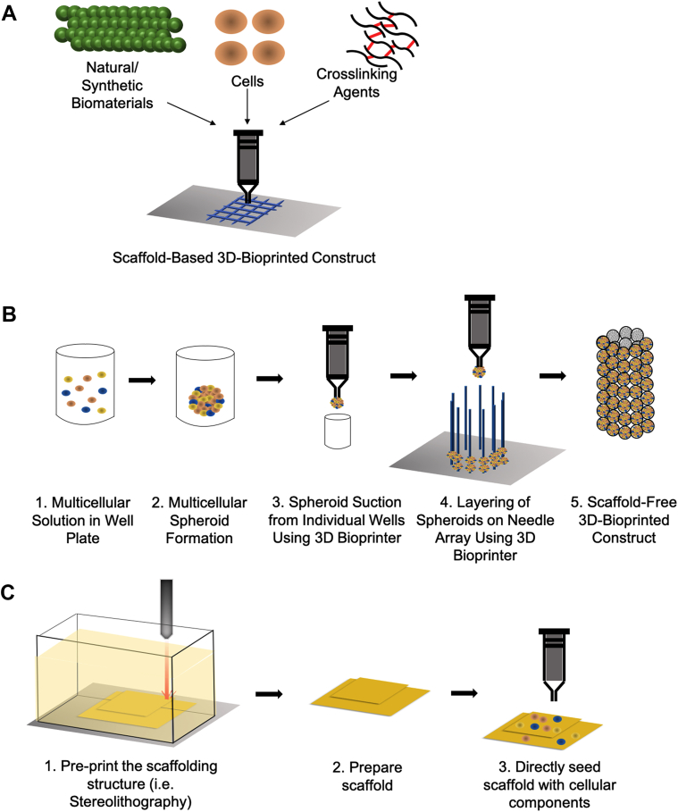 Figure 2