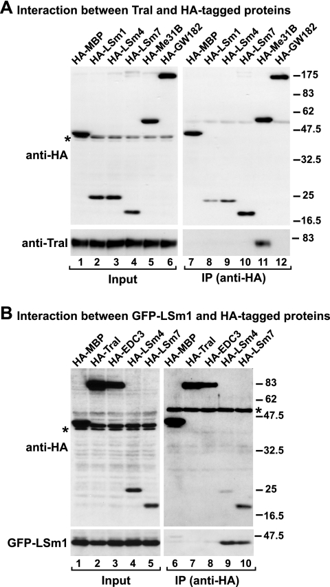 FIG. 7.