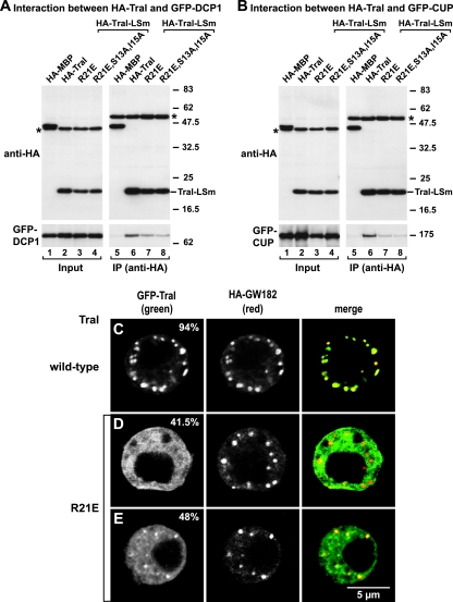 FIG. 9.