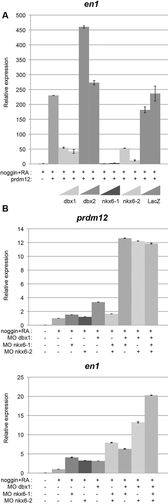 Fig. 6.