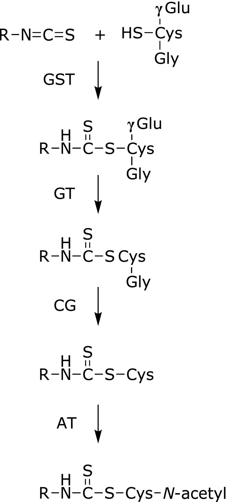 Fig. 5